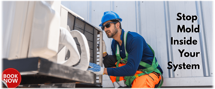 HVAC Mold Removal Barrington IL